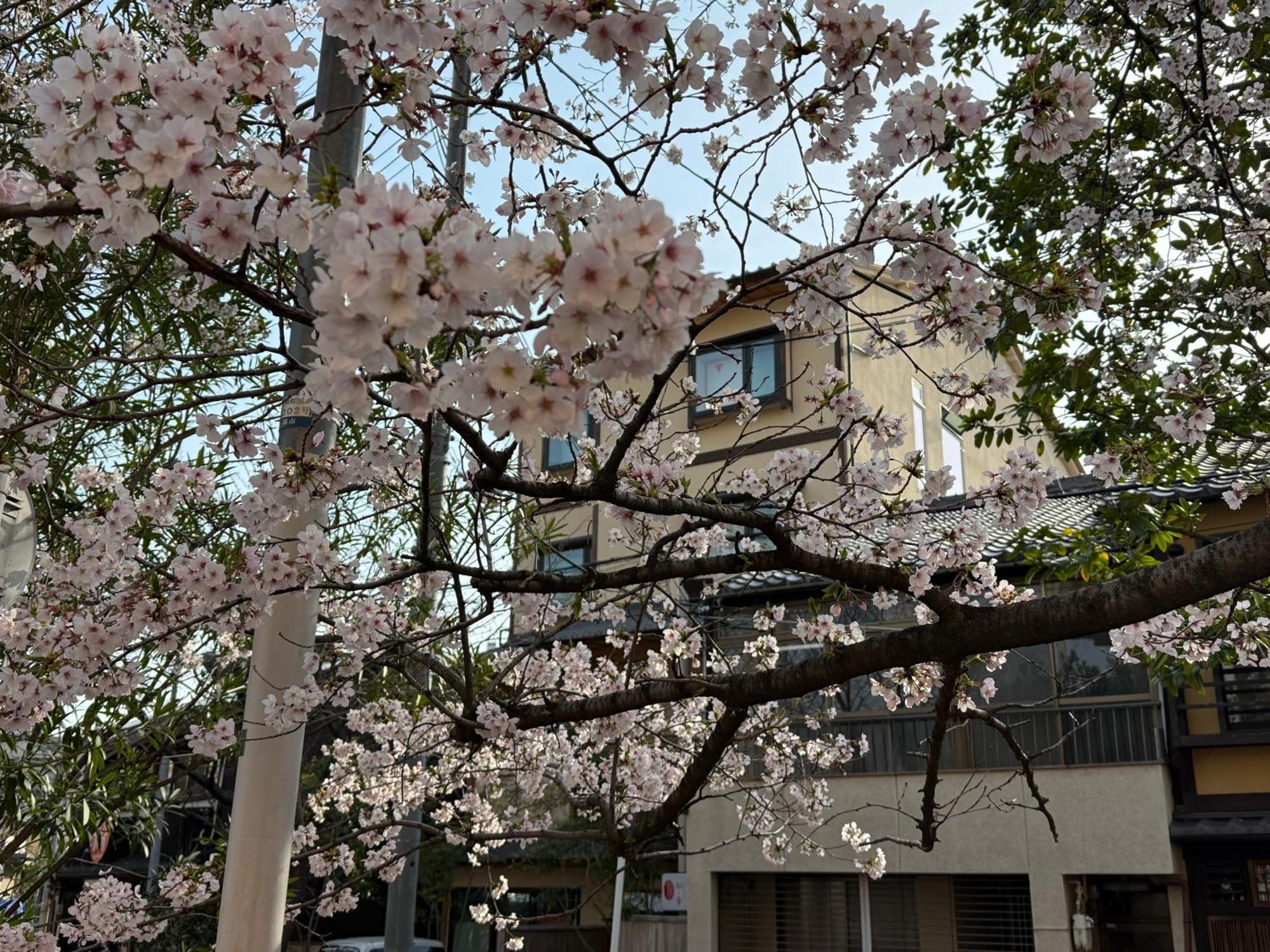 Appartement 初音 à Kyoto Extérieur photo