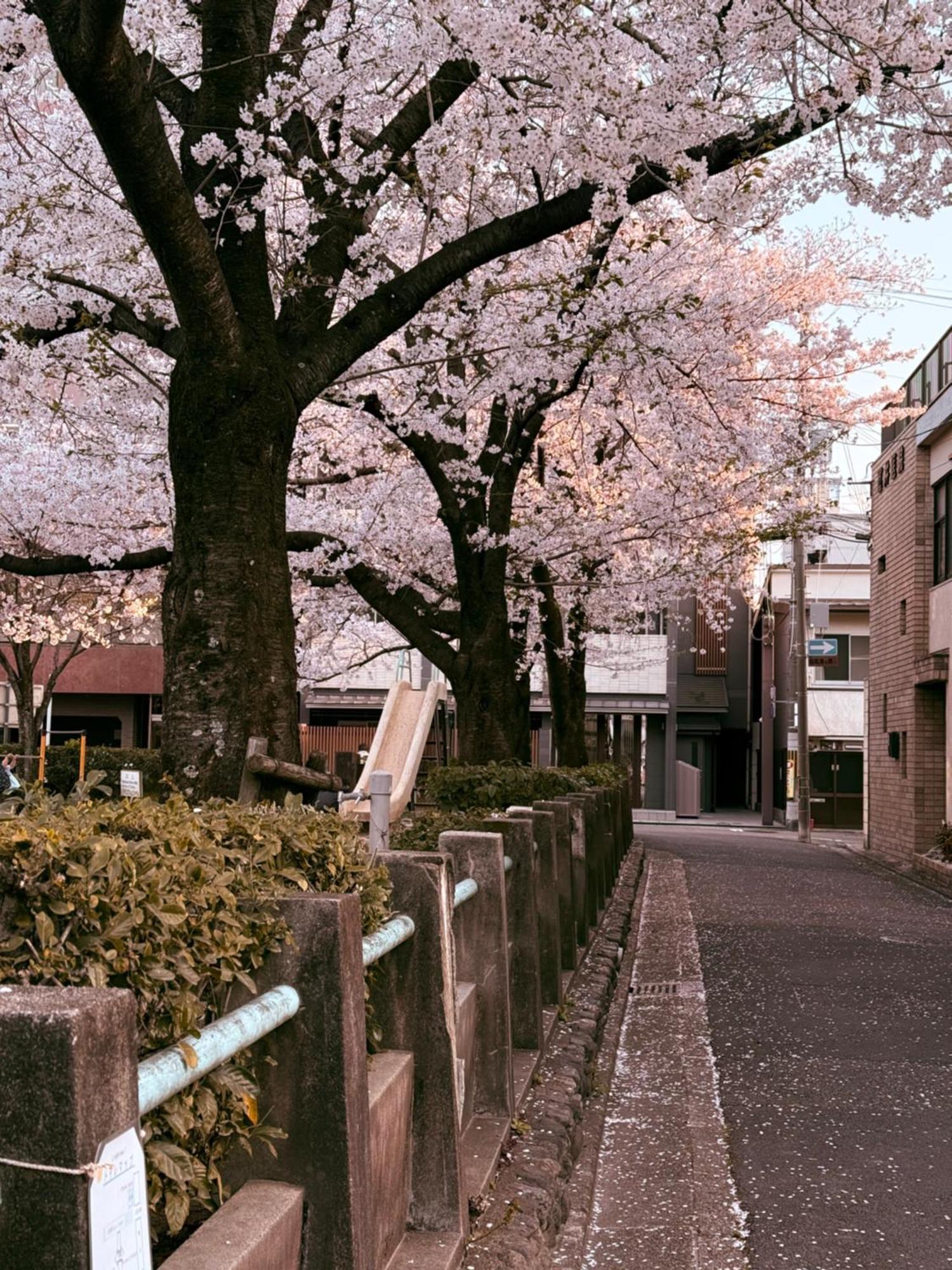 Appartement 初音 à Kyoto Extérieur photo